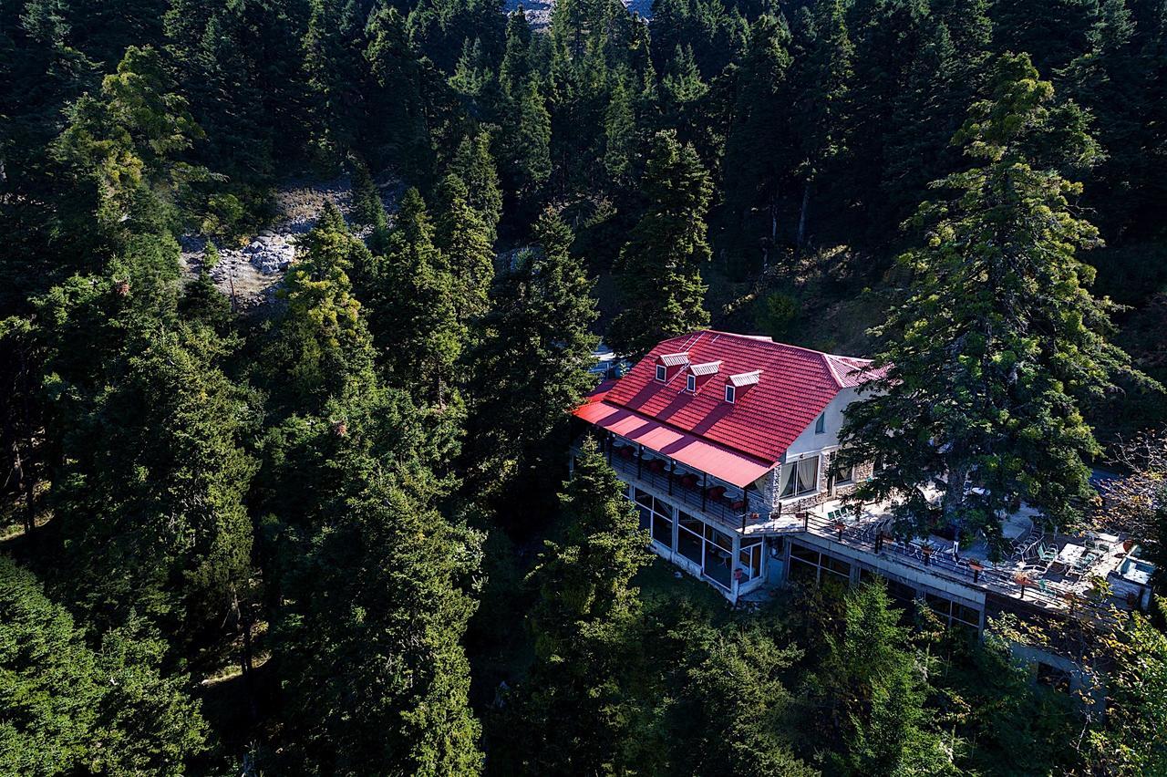 Koutsikouris Hotel Platanakos Eksteriør bilde